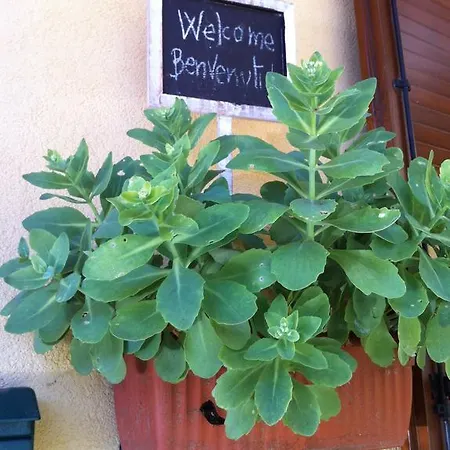Il Portico Del Conte Bed & Breakfast *